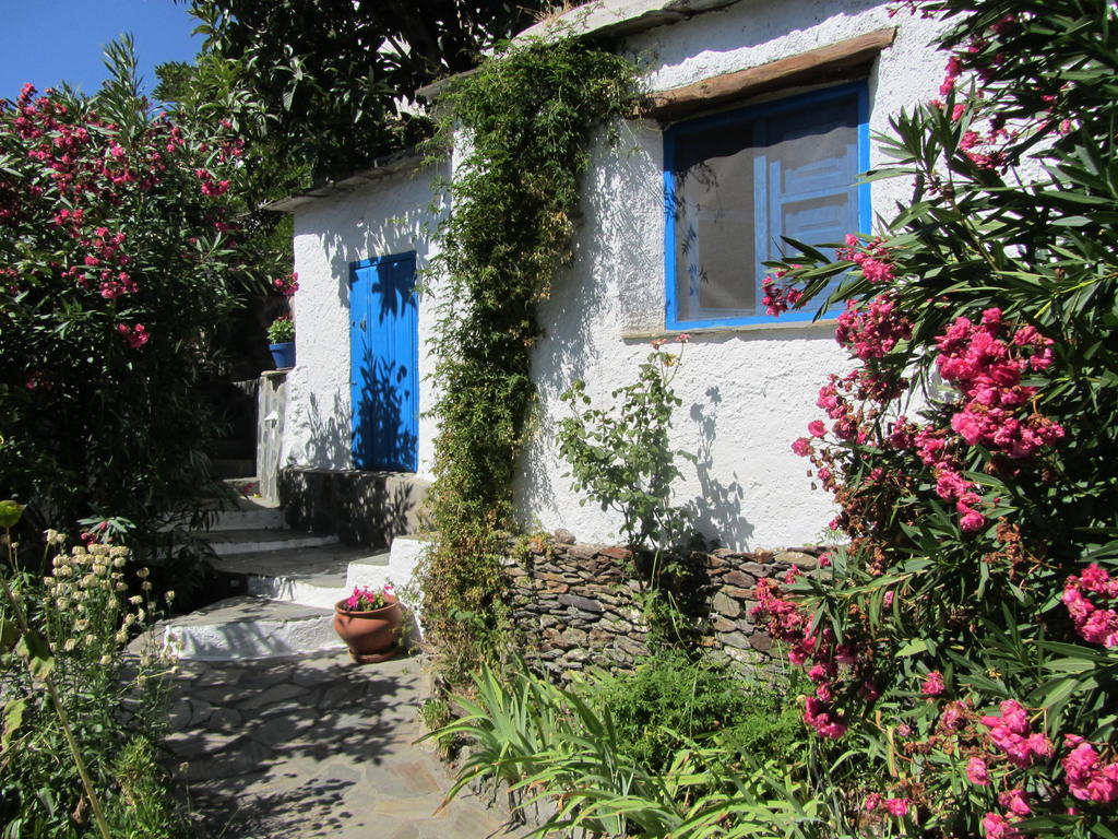 Sierra Y Mar Bed & Breakfast Ferreirola Rom bilde